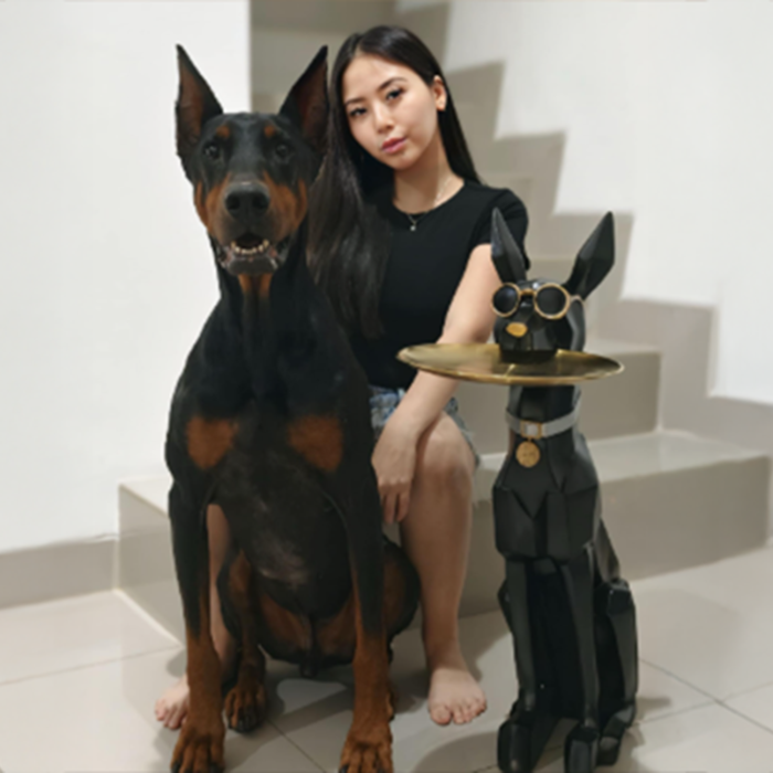 2 Dekorasi Rumah Kekinian yang Bikin Hunianmu Aman dan Elegan, Wajib Punya!